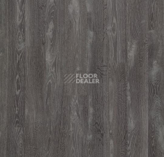 Линолеум Forbo Eternal Wood 11942 dark grey oak фото 1 | FLOORDEALER